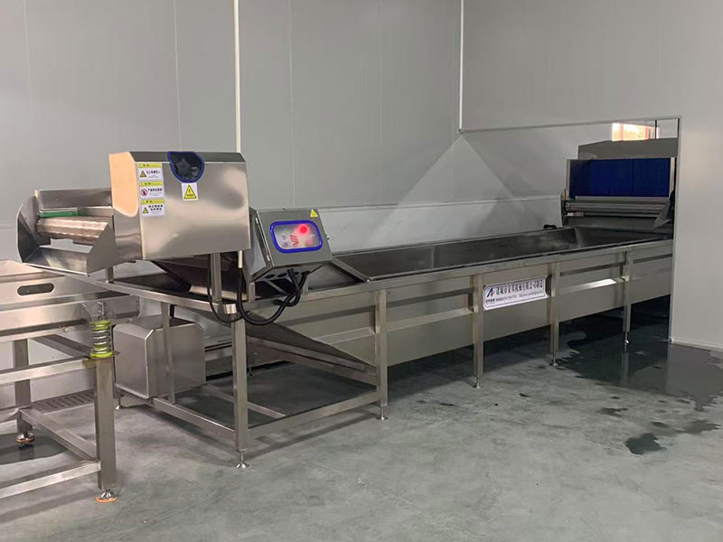 福建竹筍客戶加工現(xiàn)場